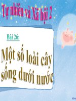 bài giảng tự nhiên xã hội lớp 2 bài 26 một số loài cây sống dưới nước