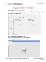 CÁC VÍ DỤ TÍNH TOÁN MÓNG CỌC BẰNG FB PIER