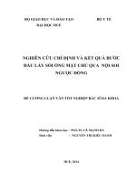 nghiên cứu chỉ định và kết quả bước đầu lấy sỏi ống mật chủ qua  nội soi ngược dòng