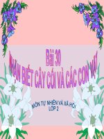 bài giảng tự nhiên xã hội lớp 2 bài 30 nhận biết cây cối và các con vật