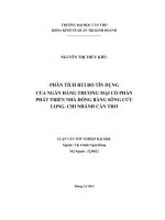 Phân tích rủi ro tín dụng của ngân hàng thương mại cổ phần phát triển nhà đồng bằng sông cửu long   chi nhánh cần thơ