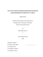 role of plant growth-promoting rhizobacteria in integrated disease management and productivity of tomato