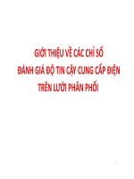CÁC CHỈ SỐ ĐÁNH GIÁ ĐỘ TIN CẬY CUNG CẤP ĐIỆNTRÊN LƯỚI PHÂN PHỐI