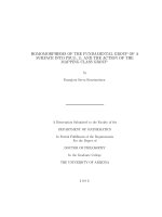 homomorphisms of the fundamental group of a surface into psu(1,1), and the action of the mapping class group
