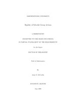luân án tiến sĩ rigidity of solvable group actions