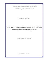 phát triển tập đoàn kinh tế nhà nước ở việt nam trong quá trình hội nhập quốc tế