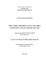 phát triển mô hình cao su tiểu điền tại huyện cam lộ, tỉnh quảng trị