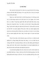 THỰC TRẠNG VÀ GIẢI PHÁP NÂNG CAO KHẢ NĂNG CẠNH TRANH TRONG KHÂU PHÂN PHỐI TIÊU THỤ SẢN PHẨM CỦA CÔNG TY BÁNH KẸO HẢI HÀ