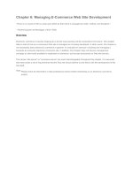 chapter 6 managing e-commerce web site development