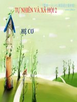 bài giảng tự nhiên xã hội lớp 2 bài 3 hệ cơ