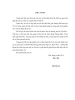 nghiên cứu tiềm năng và định hướng sử dụng hợp lý tài nguyên du lịch sinh thái tỉnh thừa thiên huế