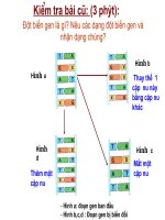 giáo án than khảo bồi dưỡng thao giảng, thi giáo viên giỏi môn sinh học lớp 9 tiết 23 đột biến cấu trúc nhiễm sắc thể (7)
