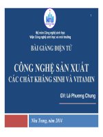 Bài giảng Công nghệ sản xuất các chất kháng sinh và vitamin