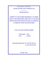 Nghiên cứu một số biến đổi bệnh lý của bệnh care (canine distemper) trên chó và ứng dụng phương pháp miễn dịch huỳnh quang (immuno fluorescent) để chẩn đoán bệnh