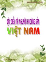 Bài giảng đặc điểm tài nguyên khoáng sản