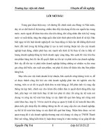 Luận văn: Hoàn thiện tổ chức công tác kế toán bán hàng và xác định kết quả bán hàng tại công ty trách nhiệm hữu hạn thanh đức