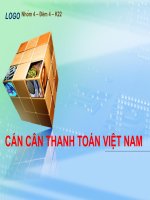 Báo cáo tiểu luận CÁN CÂN THANH TOÁN VIỆT NAM