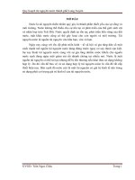 Quy hoạch tài nguyên nước thành phố Long Xuyên