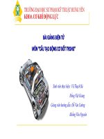 Bài giảng cấu tạo ĐCĐT -  Đại học - chương 3 cơ cấu sinh lực