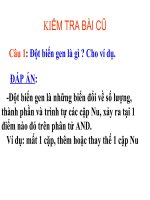 giáo án than khảo bồi dưỡng thao giảng, thi giáo viên giỏi môn sinh học lớp 9 tiết 23 đột biến cấu trúc nhiễm sắc thể (25)