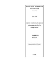 nghiên cứu ảnh hưởng của rừng trồng cao su (hevea brasiliensis) đến môi trường ở vùng bắc trung bộ