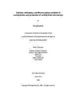solution, solid-phase, and fluorous-phase synthesis of carbohydrates and production of carbohydrate microarrays