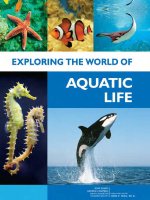 exploring the world of aquatic life