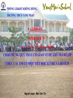 giáo án than khảo bồi dưỡng thao giảng, thi giáo viên giỏi môn sinh học lớp 9 tiết 23 đột biến cấu trúc nhiễm sắc thể (5)