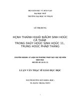 hình thành khái niệm sinh học cơ thể trong dạy học sinh học 11, trung học phổ thông