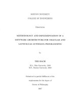 methodology and implementation of a software architecture for cellular and lattice-gas automata programming