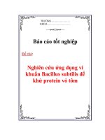 Báo cáo nghiên cứu ứng dụng vi khuẩn bacillus subtilis để khử protein vỏ tôm