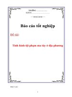 Báo cáo tốt nghiệp tình hình phạm tội ma túy ở địa phương