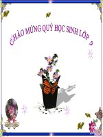 giáo án than khảo bồi dưỡng thao giảng, thi giáo viên giỏi môn sinh học lớp 9 tiết 23 đột biến cấu trúc nhiễm sắc thể (18)