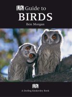 guide to birds