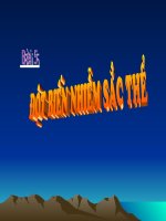 giáo án than khảo bồi dưỡng thao giảng, thi giáo viên giỏi môn sinh học lớp 9 tiết 23 đột biến cấu trúc nhiễm sắc thể (23)