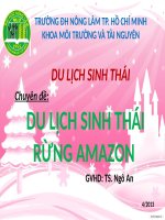 Báo cáo du lịch sinh thái du lịch sinh thái rừng amazon