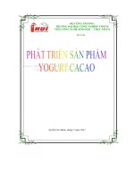 phát triển sản phẩm yogurt ca cao