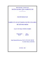 Nghiên cứu sản xuất kháng nguyên cúm a/h5n1 để chẩn đoán bệnh