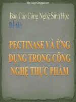 Đề tài pectinase và ứng dụng trong công nghệ thực phẩm