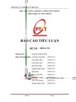 ĐỒ ÁN LÝ THUYẾT VỀ MPLSTE