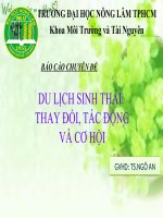 Báo cáo du lịch sinh thái thay đổi, tác động và cơ hội