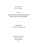 the identification and characterization of genes with potential roles in fetal ovary development