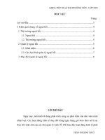 hoạt động quản lý ngoại hối của nhnn việt nam thời gian qua