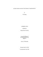 synthetic studies toward the total synthesis of amphidinolide b1