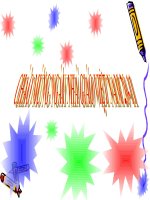 giáo án than khảo bồi dưỡng thao giảng, thi giáo viên giỏi môn sinh học lớp 9 tiết 23 đột biến cấu trúc nhiễm sắc thể (15)