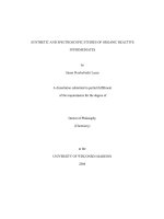 synthetic and spectroscopic studies of organic reactive intermediates