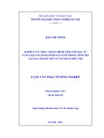 Nghiên cứu thực trạng bệnh viêm nội mạc tử cung lợn nái ngoại sinh sản nuôi trong nông hộ tại gia lâm, hà nội và ứng dụng điều trị