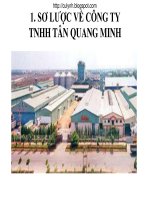 Báo cáo sơ lược về công ty TNHH Tân Quang Minh