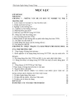 thực trạng và giải pháp phát triển hàng hoá trên thị trường mở ở việt nam