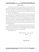 Nghiên cứu ứng dụng các dạng kết cấu nhịp cầu điển hình thi công nhanh trong các đô thị lớn.